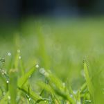 夏季休業のお知らせ